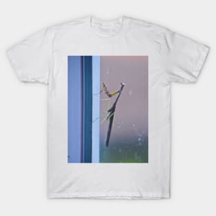 Mantis on a Window - Remix T-Shirt